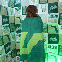 South Florida Horns Up GIF by USF Athletics