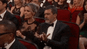 Emmy Awards Applause GIF by Emmys
