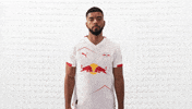 Rb Leipzig Football GIF by Bundesliga