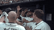 Atlanta Braves GIF by MLB