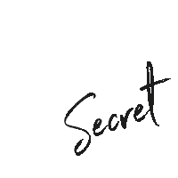 Top Secret Salon Sticker by IDEA Friseureinrichtungen