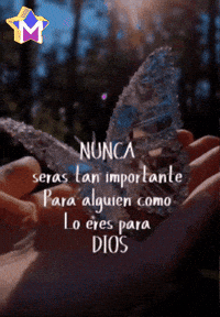 Mano Saludos GIF by Murcianys LLC