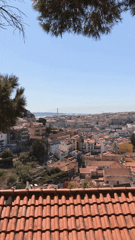 markomorciano giphyupload GIF