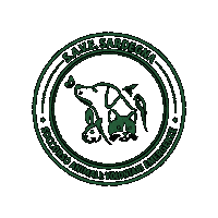 Save Sardegna Sticker by TBL Media