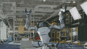 Atlas GIF by BostonDynamics