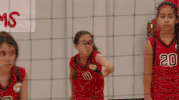 familia GIF