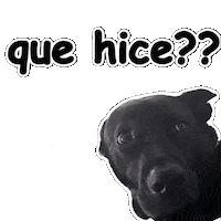 Question Perros Sticker by Vitalsaludkids