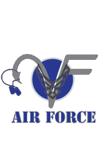 Air Force Fishing Sticker by VETS FISH