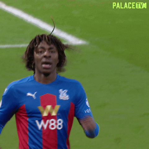 Premier League Soccer GIF by CPFC