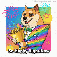 Happy To The Moon GIF by Doge Pound