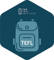 Explore Gap Year Sticker by TEFL Institute of Ireland