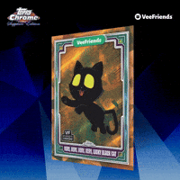 Collect Black Cat GIF by VeeFriends