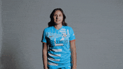 Red Stars Soccer GIF by Chicago Stars FC