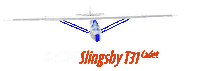 Rc Cad Sticker by planeprint