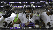 Happy Baltimore Ravens GIF by NFL