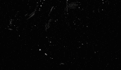 jtnfilm illustration artist drawing wanderlust GIF