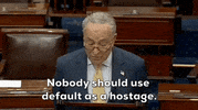 Chuck Schumer Default GIF by GIPHY News