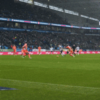 Goal GIF by Bolton Wanderers FC