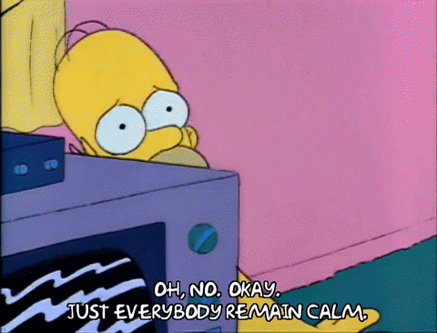 Season 2 GIF by The Simpsons