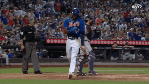 New York Mets Baseball GIF by SNY