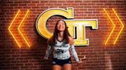 Georgia Tech Volleyball GIF by Georgia Tech Yellow Jackets