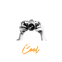 Coolideas Sticker by Consultoria Cool Ideas