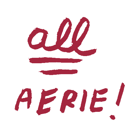 Holiday Sticker by Aerie