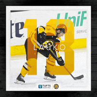 providencebruins providence bruins GIF