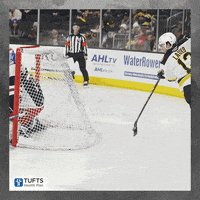 Boston Bruins Lauko GIF by Providence Bruins