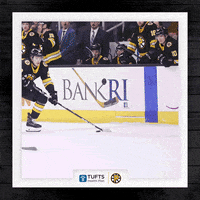 Boston Bruins Hockey GIF by Providence Bruins