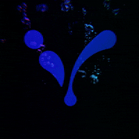 Iv GIF by Yngofficial