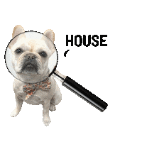 Horrell Sticker by Charlotte Horrell, Broker