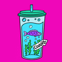 Fish Drinking GIF by Coddies