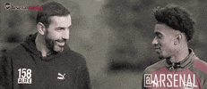 robert pires yes GIF by Arsenal