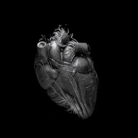 morphoGIF 3d morpho GIF