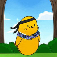 Happy Dance GIF by Sappy Seals Community