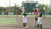 baseball wave GIF by GreenWave