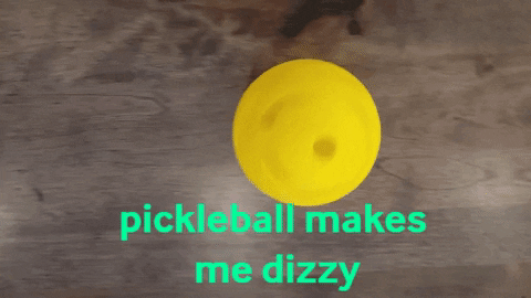 pickleballrookie giphygifmaker pickleball GIF