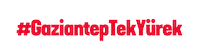 gaziantepfk gool gaziantep gfk gaziantepspor Sticker