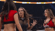 wwe sports wwe wrestling 2014 GIF