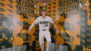 Baseball Bison GIF by NDSU Athletics