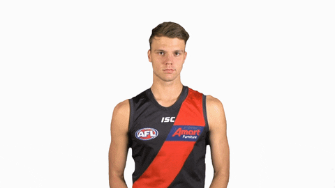 essendonfc giphyupload bombers dons ridley GIF