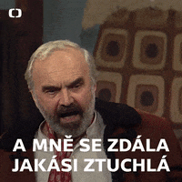 Ceskatelevize Ceska GIF