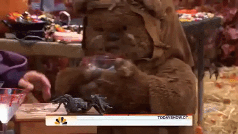 Drunk Ewok GIF by MANGOTEETH