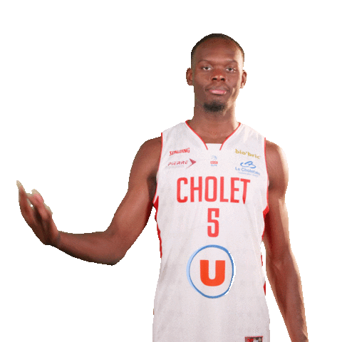 Sport Basketball Sticker by Cholet Basket