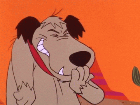 Funny GIF
