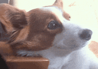 eye minutes GIF