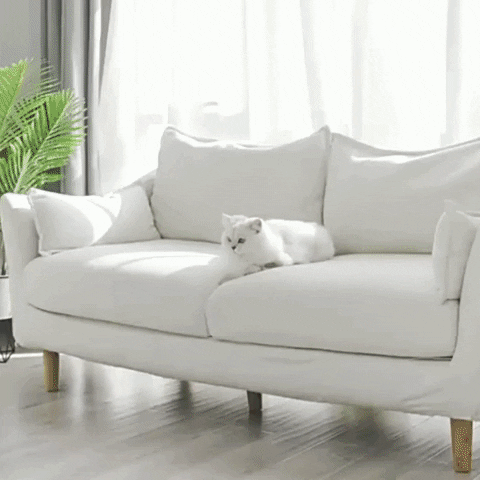 KittyNook giphyupload GIF