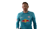 Red Bull Football Sticker by RB Leipzig