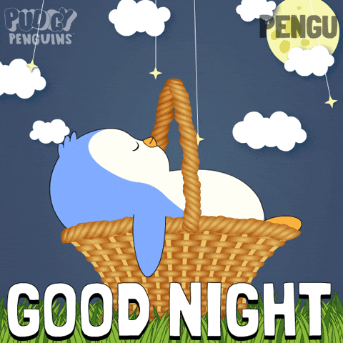 Good Night Sleeping GIF by Pudgy Penguins